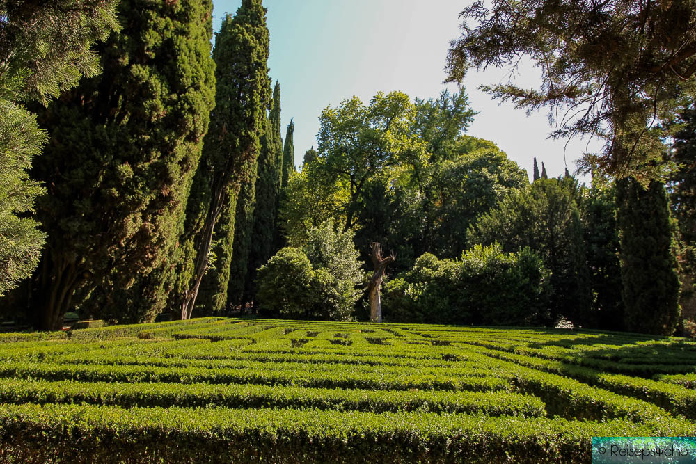 Verona