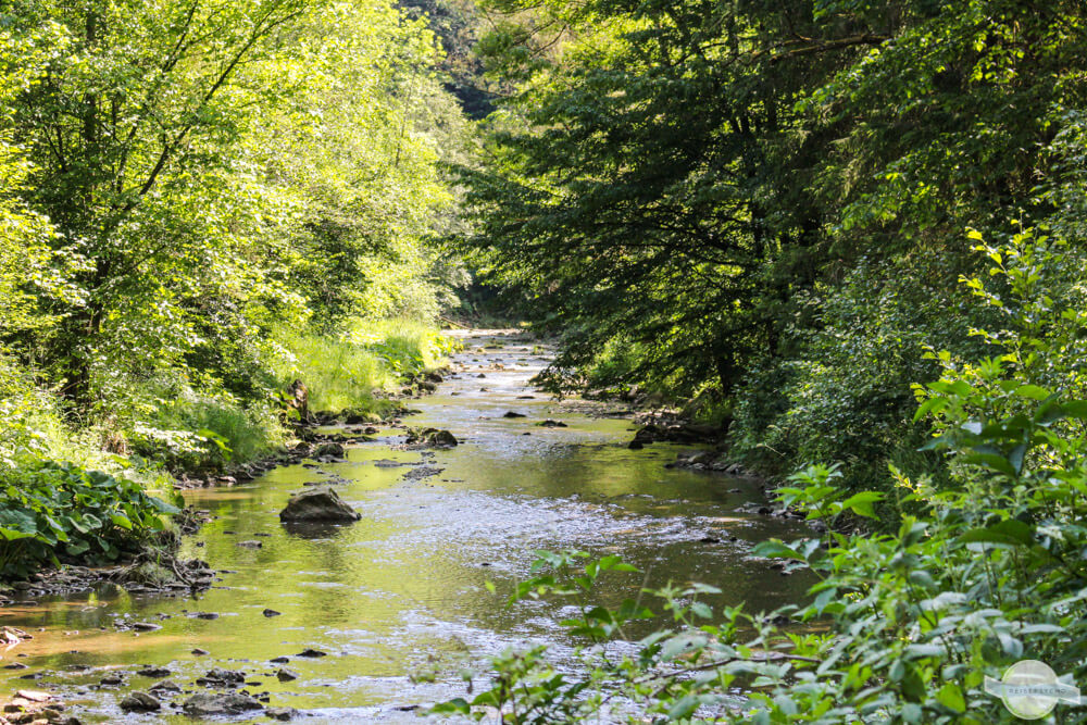 Fluss von Bäumen gesäumt