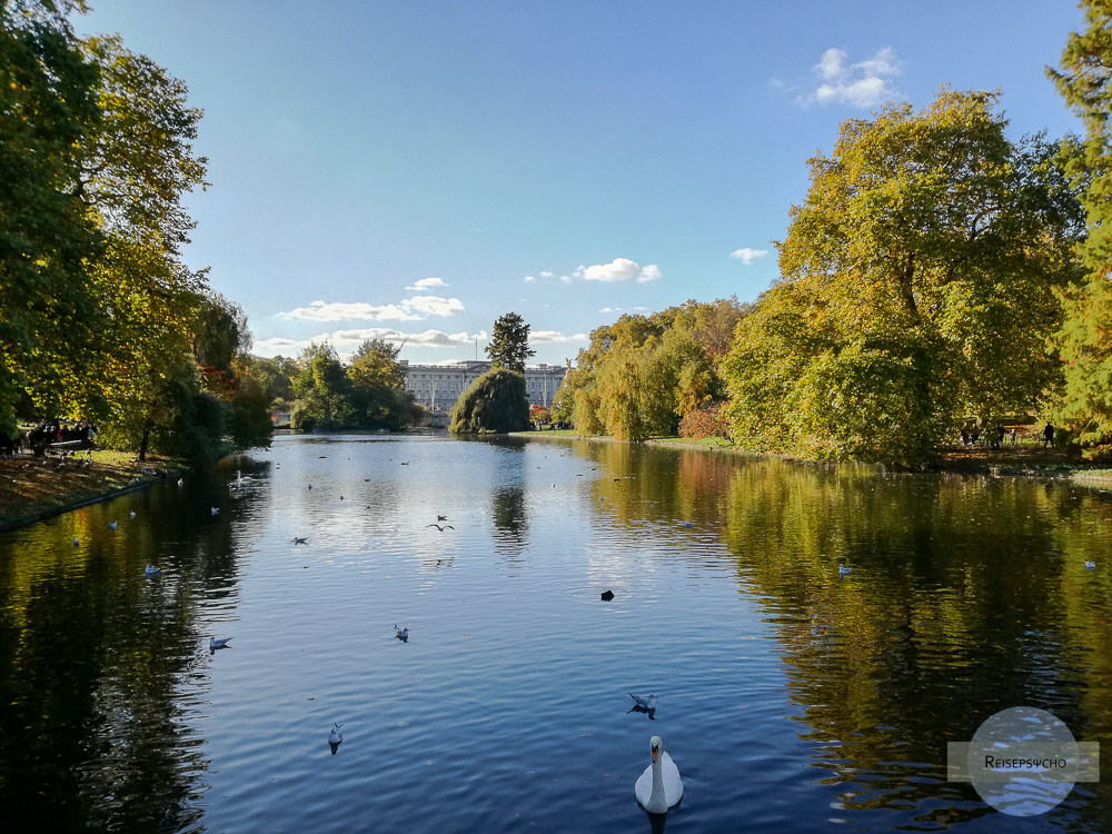 Teich im St. James Park in der Herbstsonne