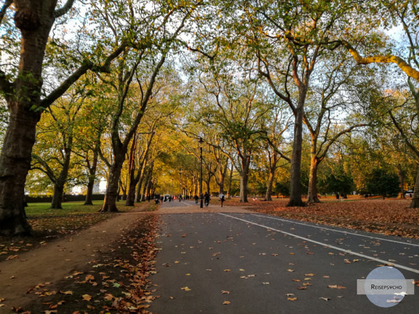 Herbst im Hyde Park 