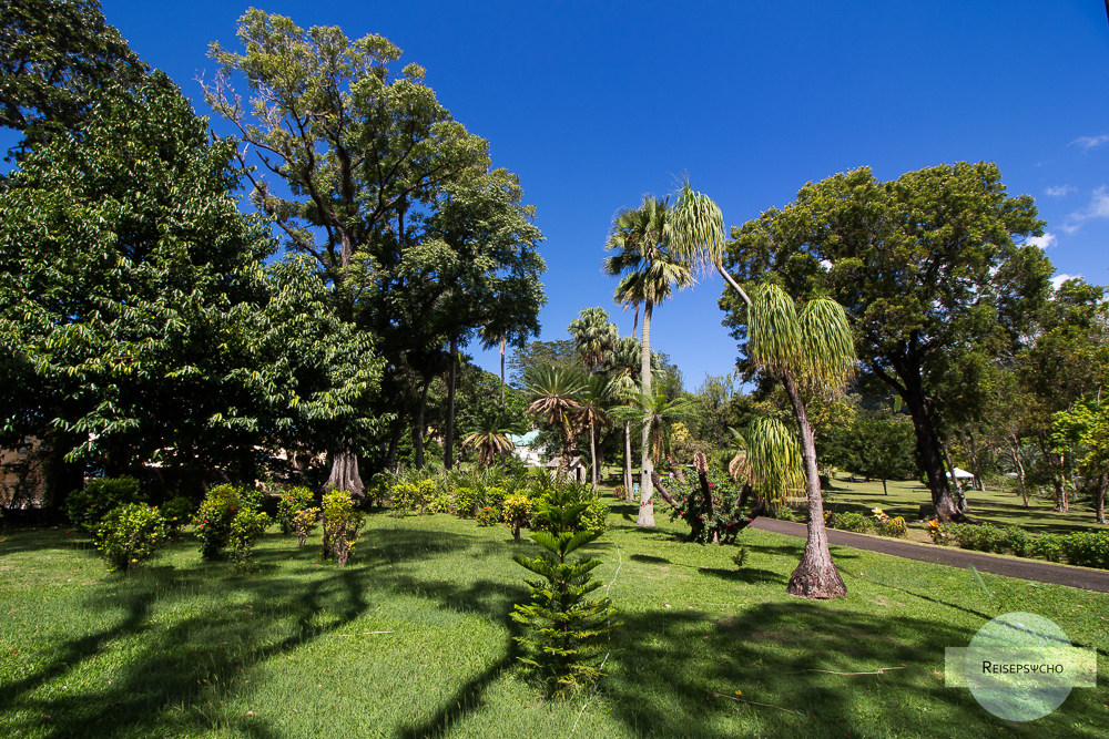 Botanischer Garten Kingstown auf St. Vincent