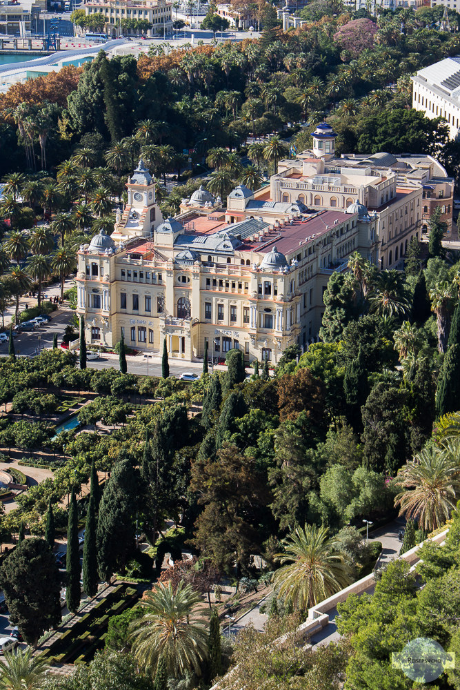 Das Rathaus von Malaga inmitten von Palmen