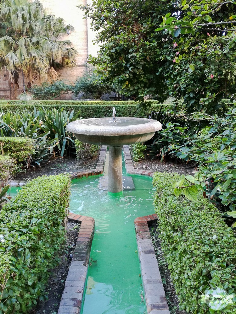 Vogelbrunnen und Garten in Malaga