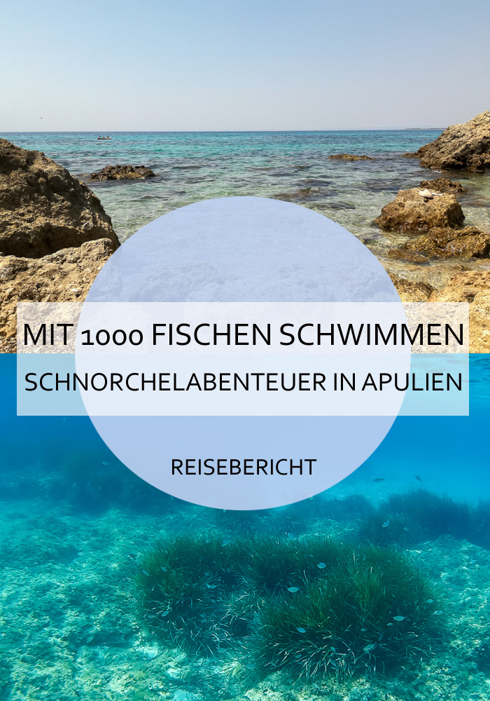 Schnorcheln mit tausenden Fischen in der Bucht von Taranto in Apulien. Es war eine sensationelle Überraschung, und unser Reisemoment des Jahres 2017. #schnorcheln #fische #apulien #taranto #tarent #puglia #besonderemomente #reise #reisebericht #reiseblogger #abenteuer #travel #ionischesmeer #mittelmeer