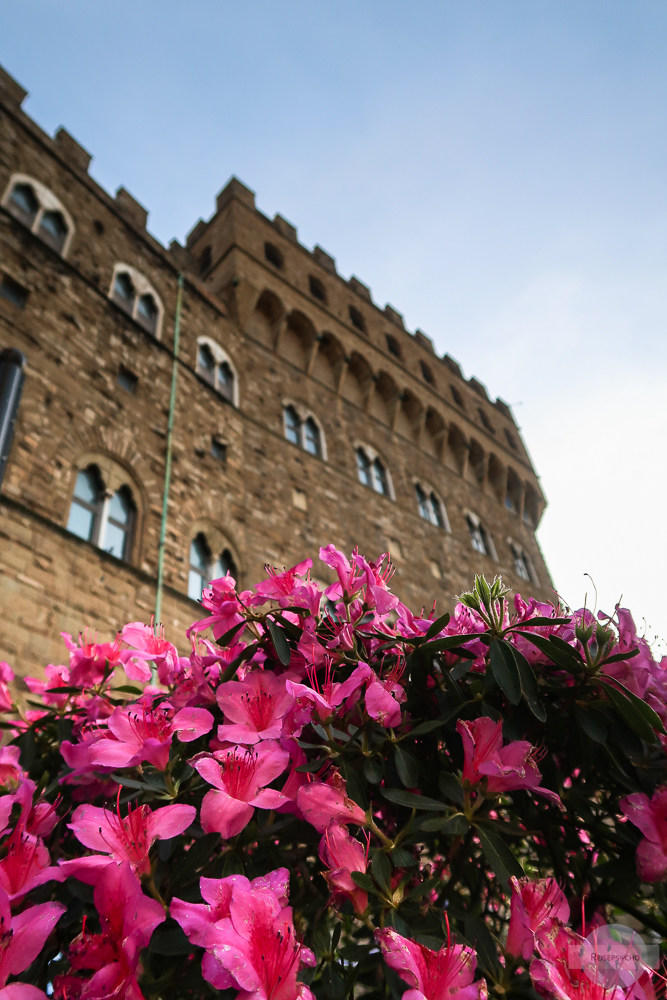 Blumen vor dem Palazzo Vecchio in Florenz