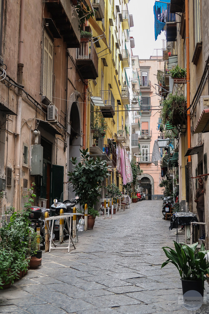 Gasse mit Pflanzen in Neapel