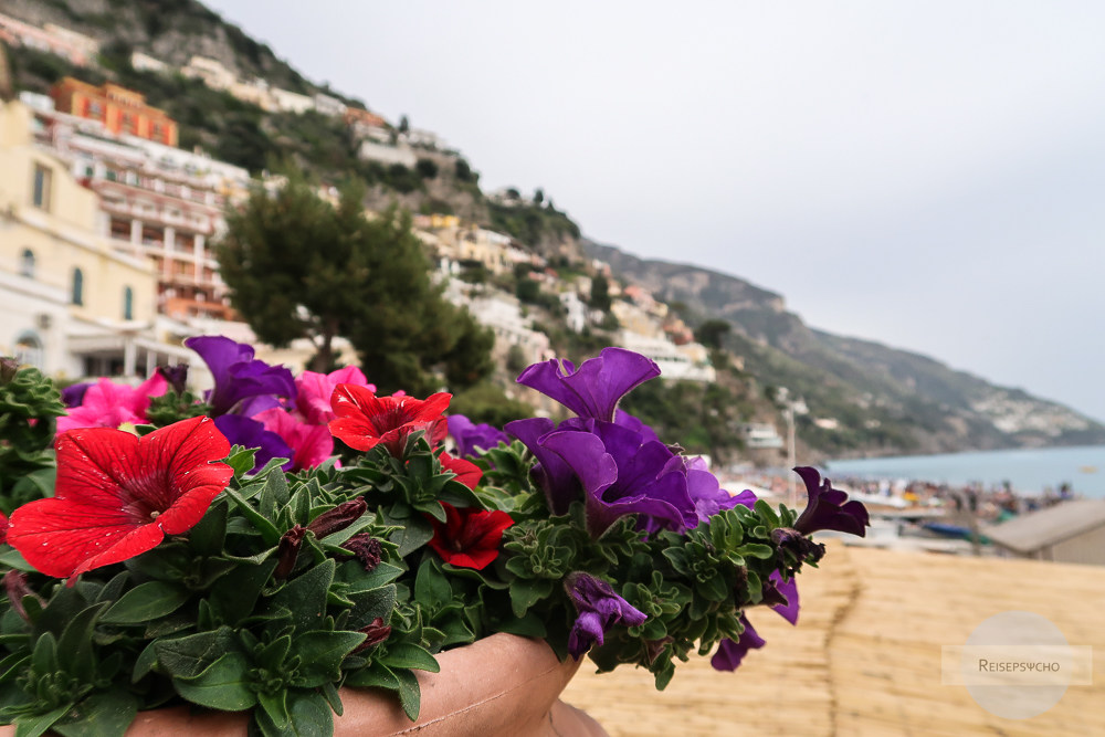 Blumen in Positano an der Amalfiküste