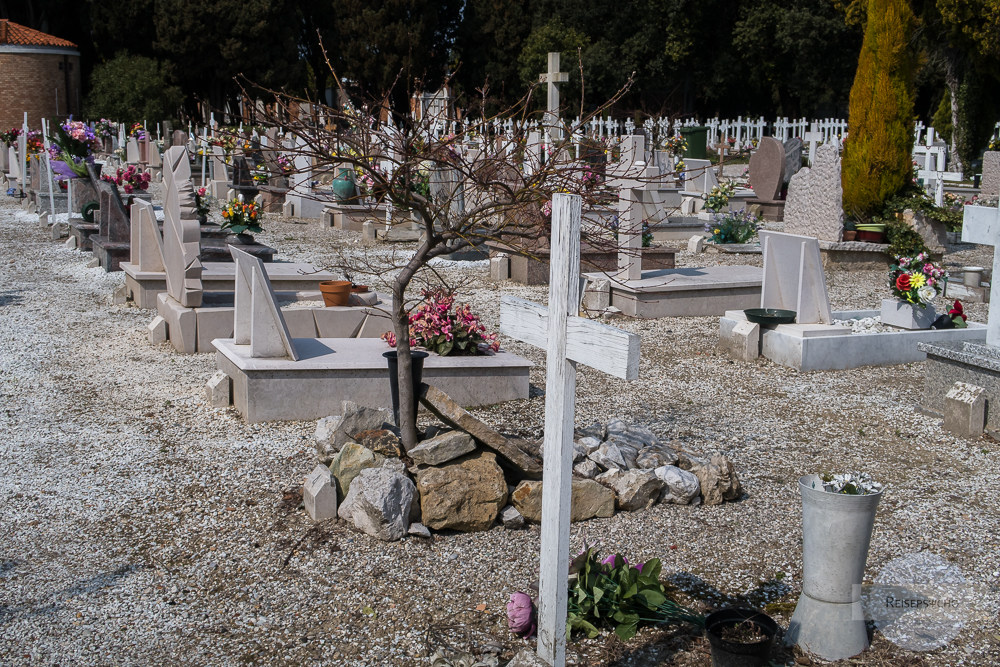 Baum statt Kreuz am Friedhof