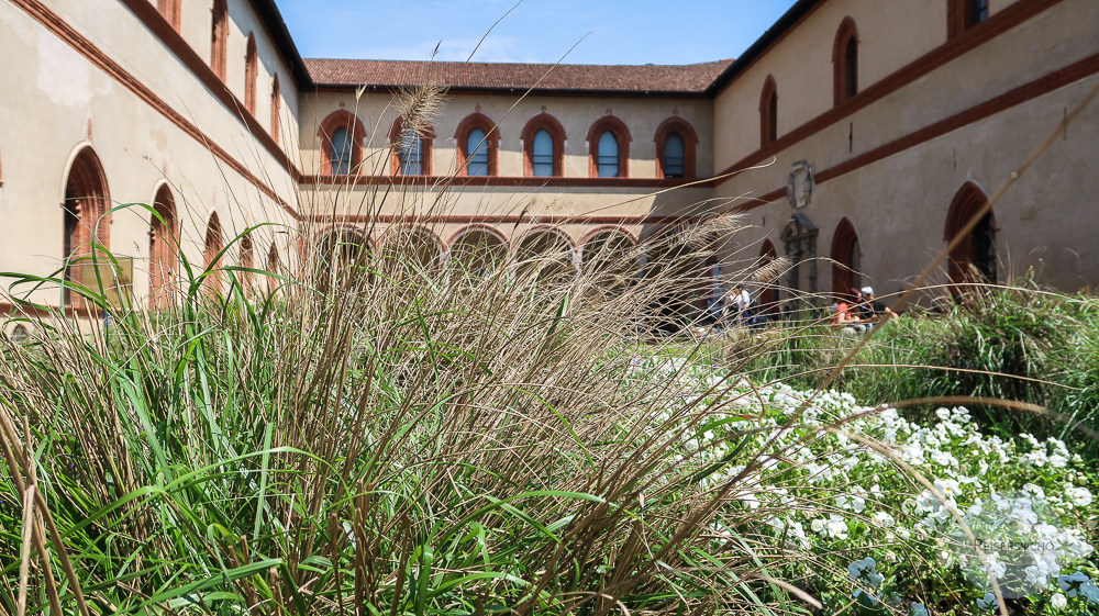 Gras vor Palazzo