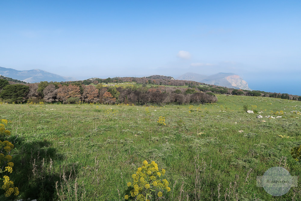 Wilder Fenchel und weiter Blick am Monte Pellegrino