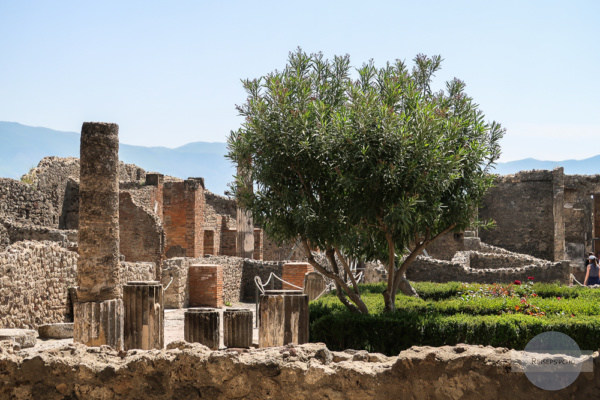 Ruinen und Baum in Pompeji