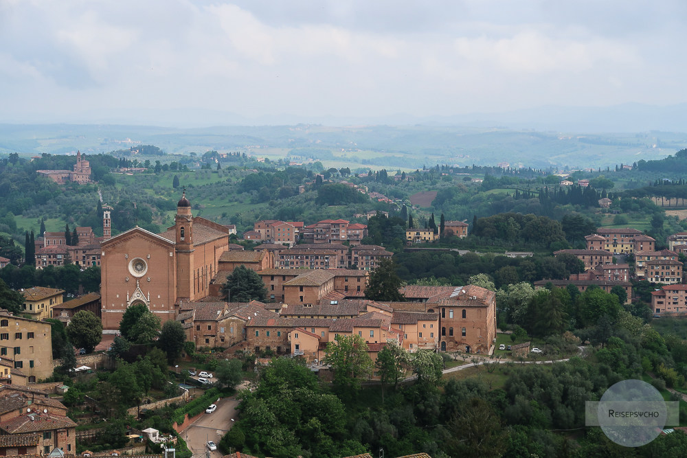 Blick in die Toskana / Reise nach Siena