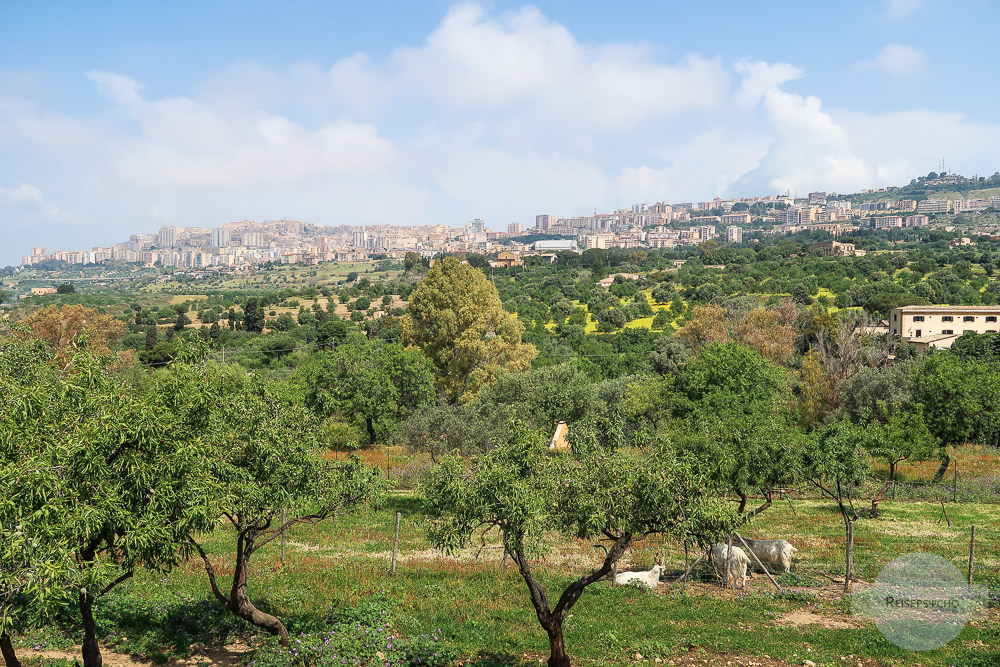Agrigent und das Tal der Tempel – auf Zeitreise in Sizilien