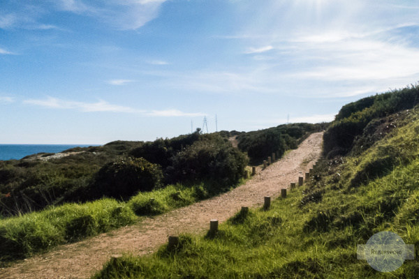 Wohin führt der Weg?