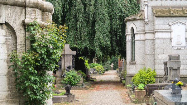 Friedhof als Ort der Ruhe