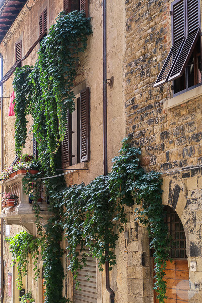 mit Efeu bewachsenes Haus in Arezzo