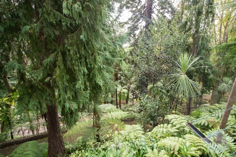 Das sissi-denkmal in funchal, madeira (richtig: sisi-denkmal Funchal auf Madeira - Sehenswürdigkeiten auf eigene Faust