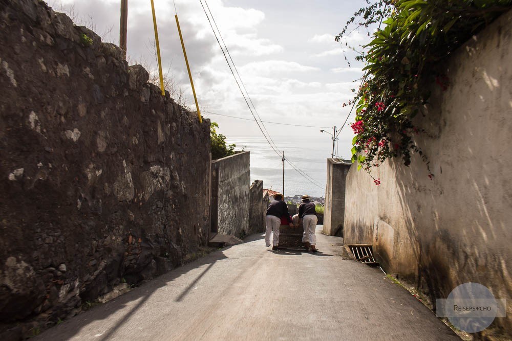 Korbschlitten fahren in Funchal