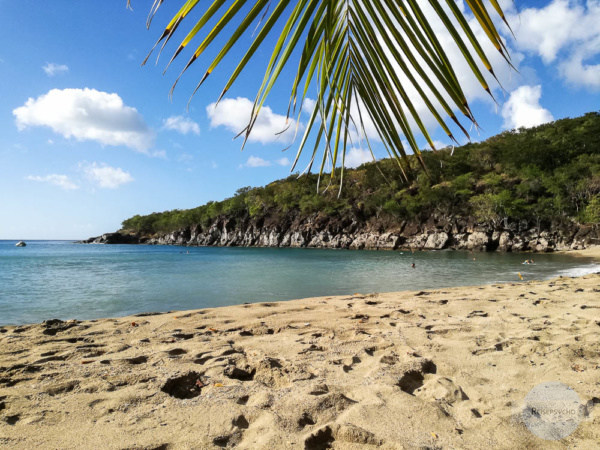Mein Lieblingsstrand auf Guadeloupe: Petit Anse südlich von Deshaies