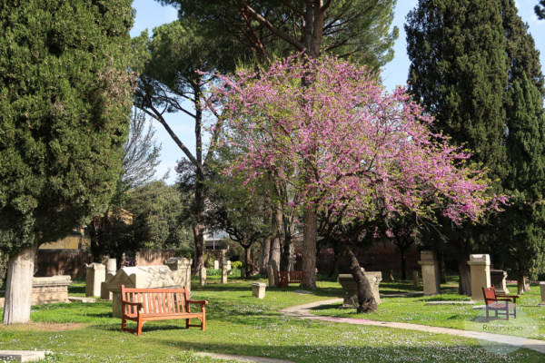 Der nicht - katholische Friedhof in Rom ist ein wahrer Geheimtipp 
