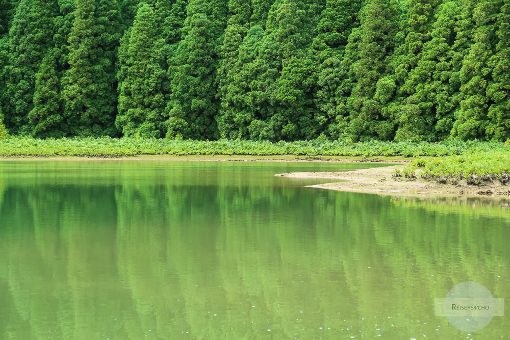 Lagoa di Canário / Kratersee auf Sao Miguel