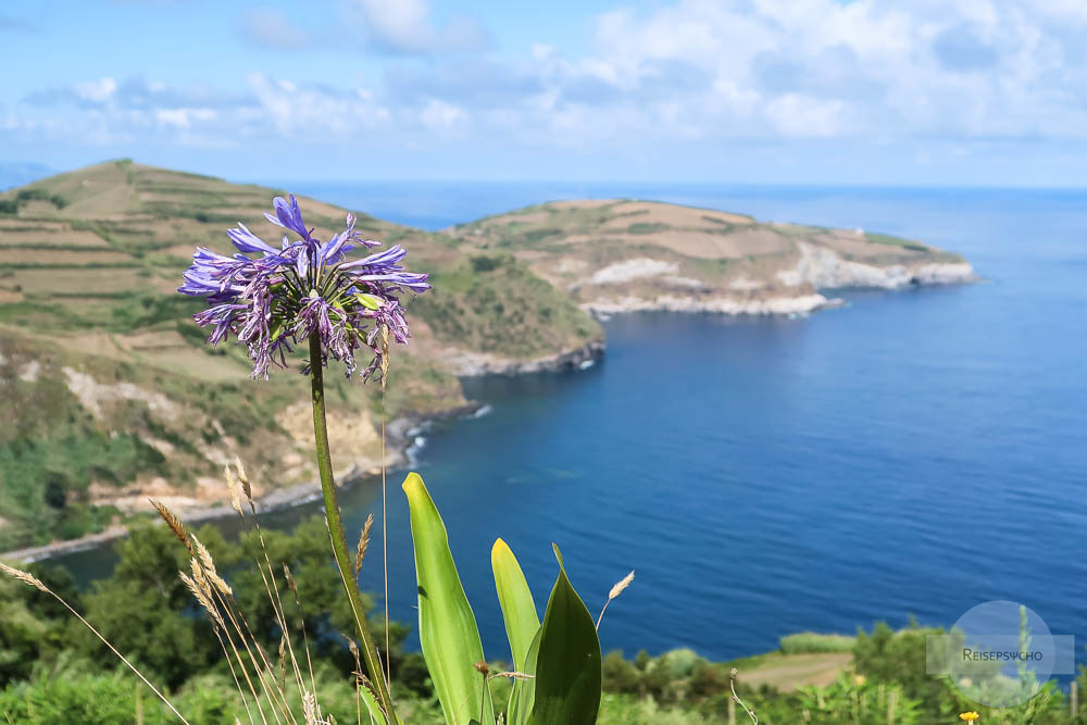 Küste auf den Azoren / schönstes Foto von Sao Miguel