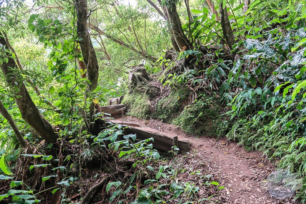 Wandern auf Sao Miguel - Azoren Reisetipps