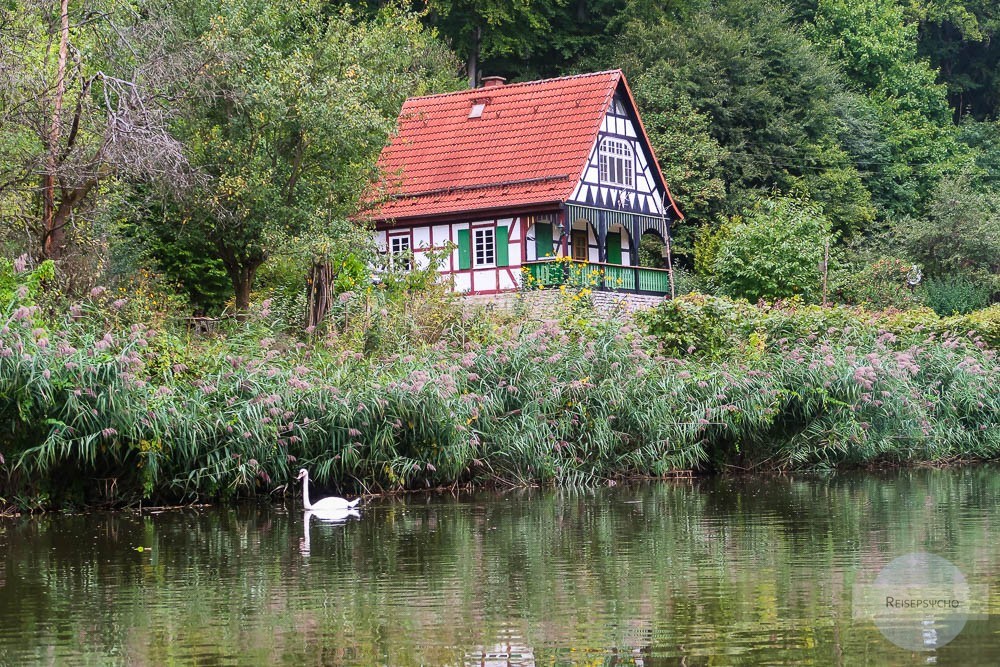 Haus und Schwan beim Kanufahren im Werratal