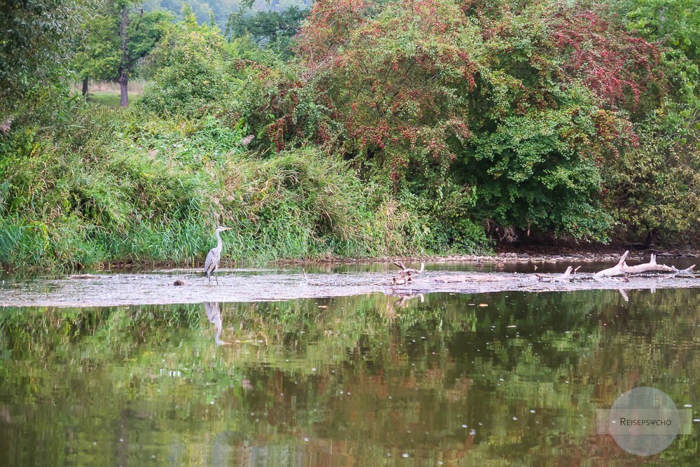 Paddeln auf der Werra