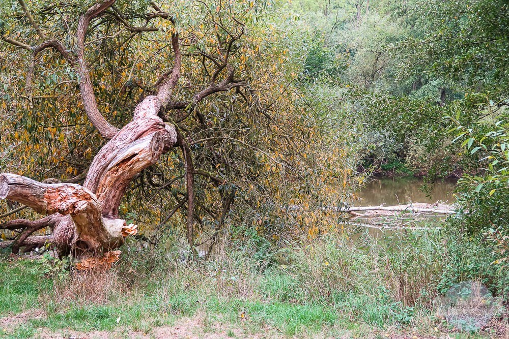 Unterwegs im Naturpark