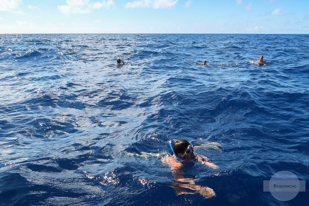 Definschwimmen Azoren
