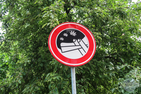 Amsterdam Gras rauchen Verbotstafel 