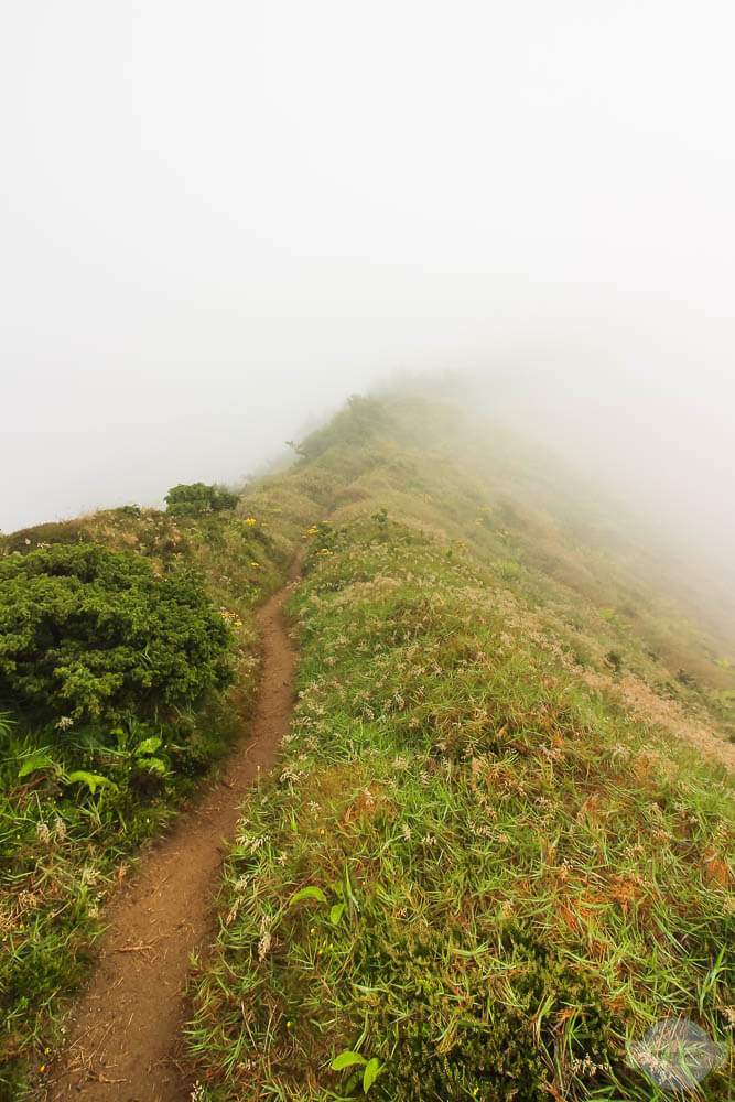 Ein Weg, der sich im Nebel verliert