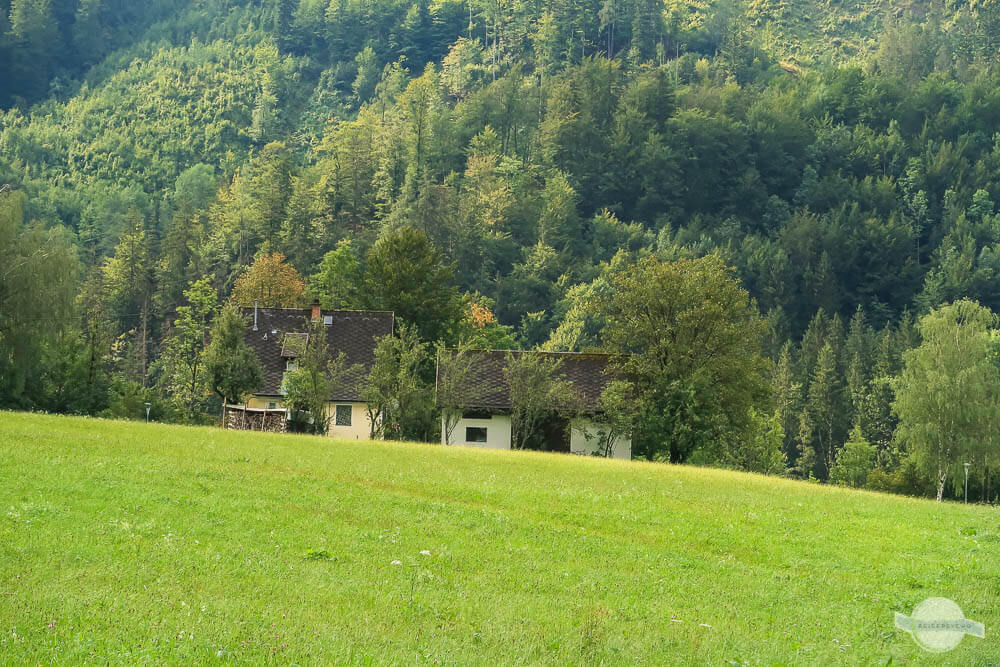 Naturpark Steirische Eisenwurzen grüne Wiese und Bauernhaus