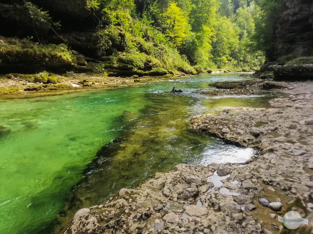 Rafting Gesäuse