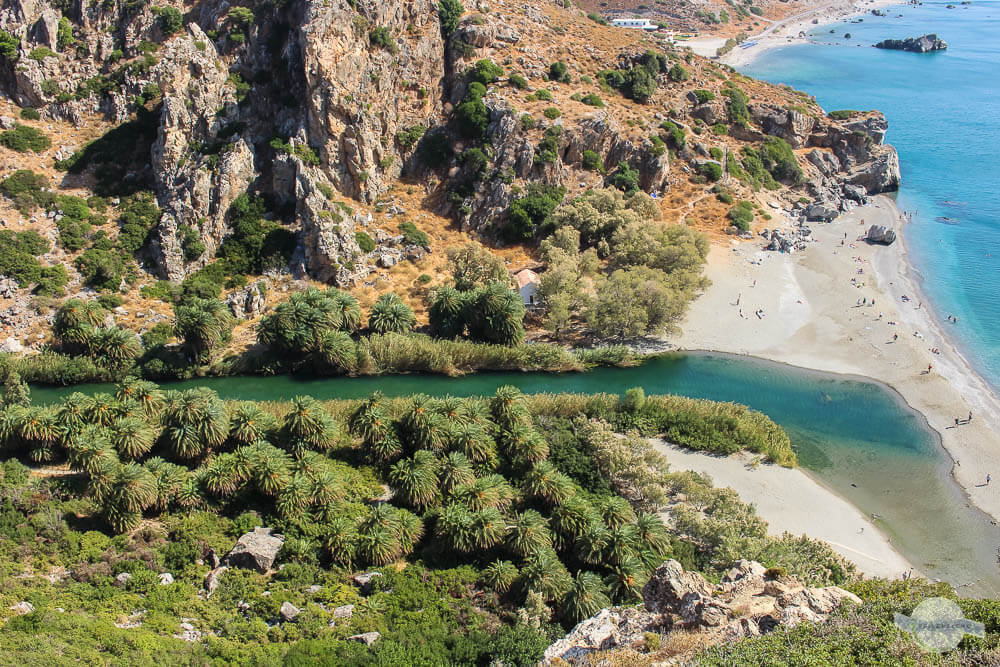 Kreta Tipp: Palmenstrand von Preveli