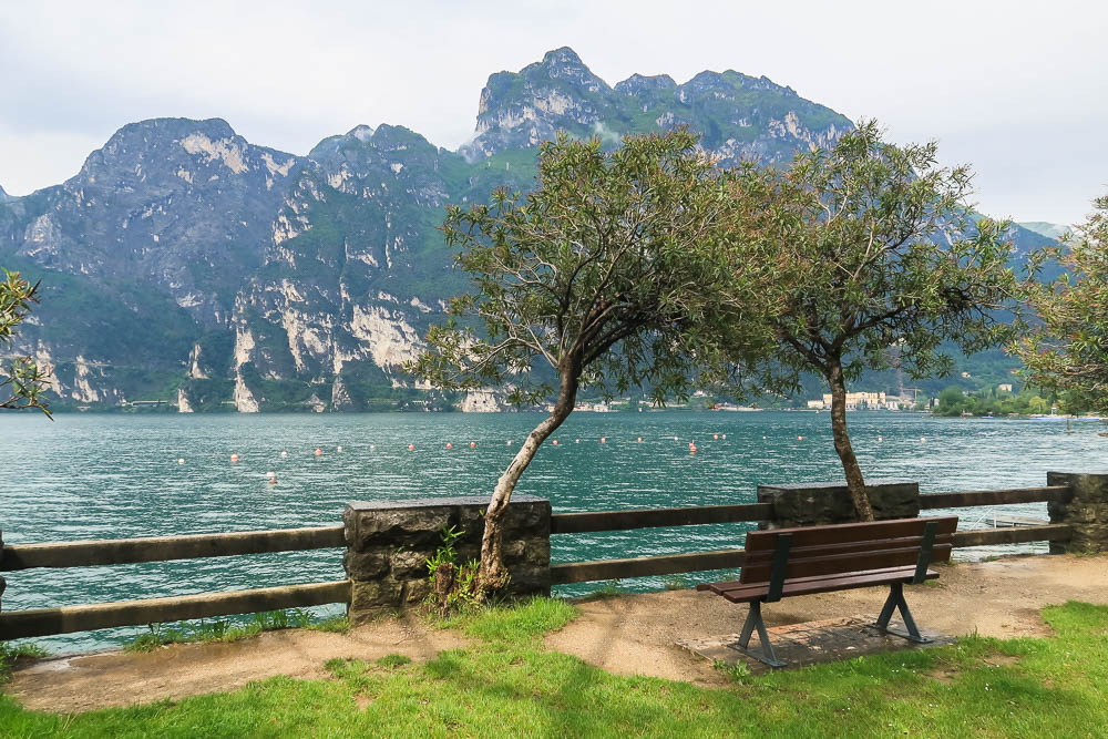 Bank und Bäume vor Gardasee