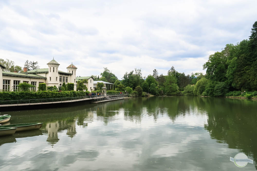 Hilmteich im Sommer