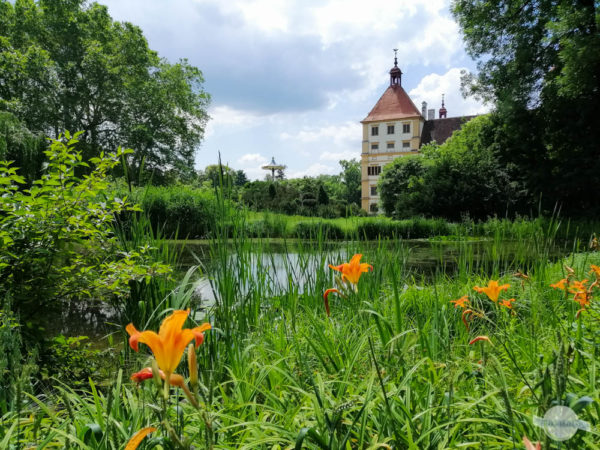 Blüten vorm Schloss Eggenberg