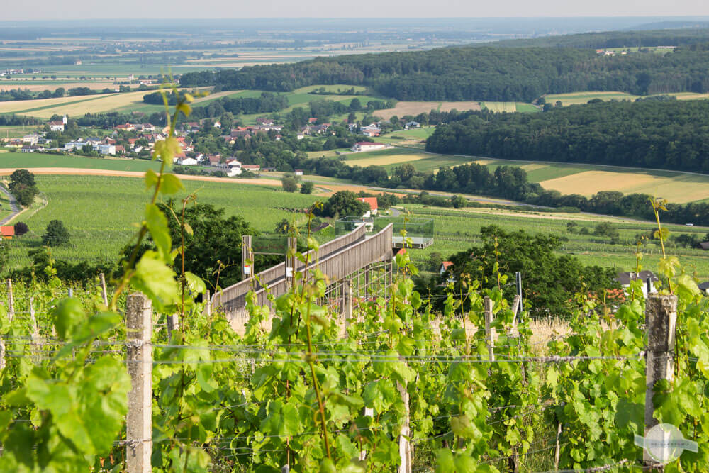 Der Eisenberg – ein südburgenländisches Weinidyll