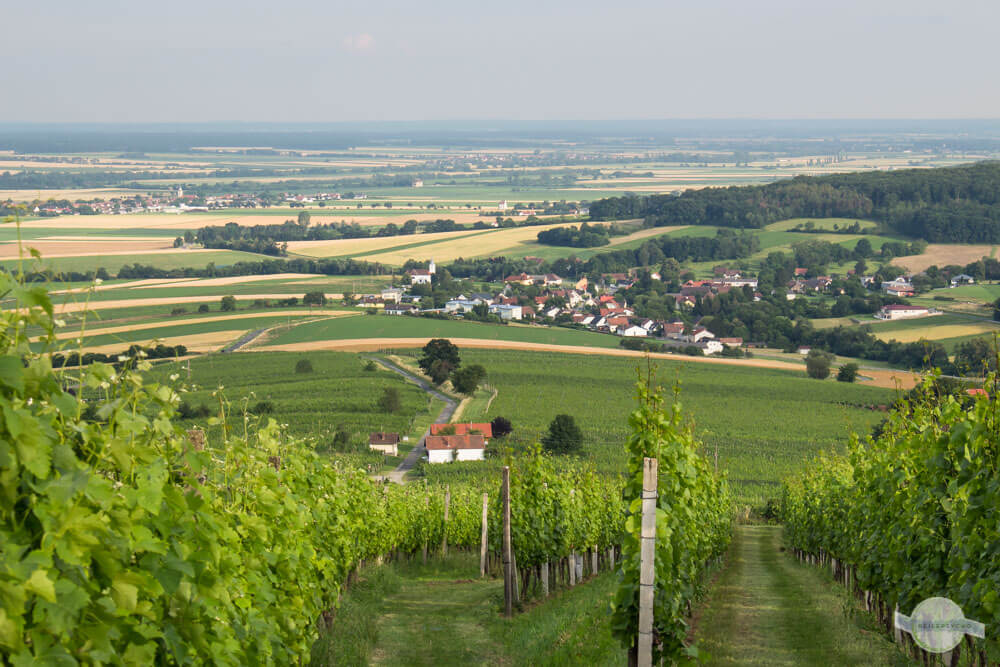 Blick vom Eisenberg