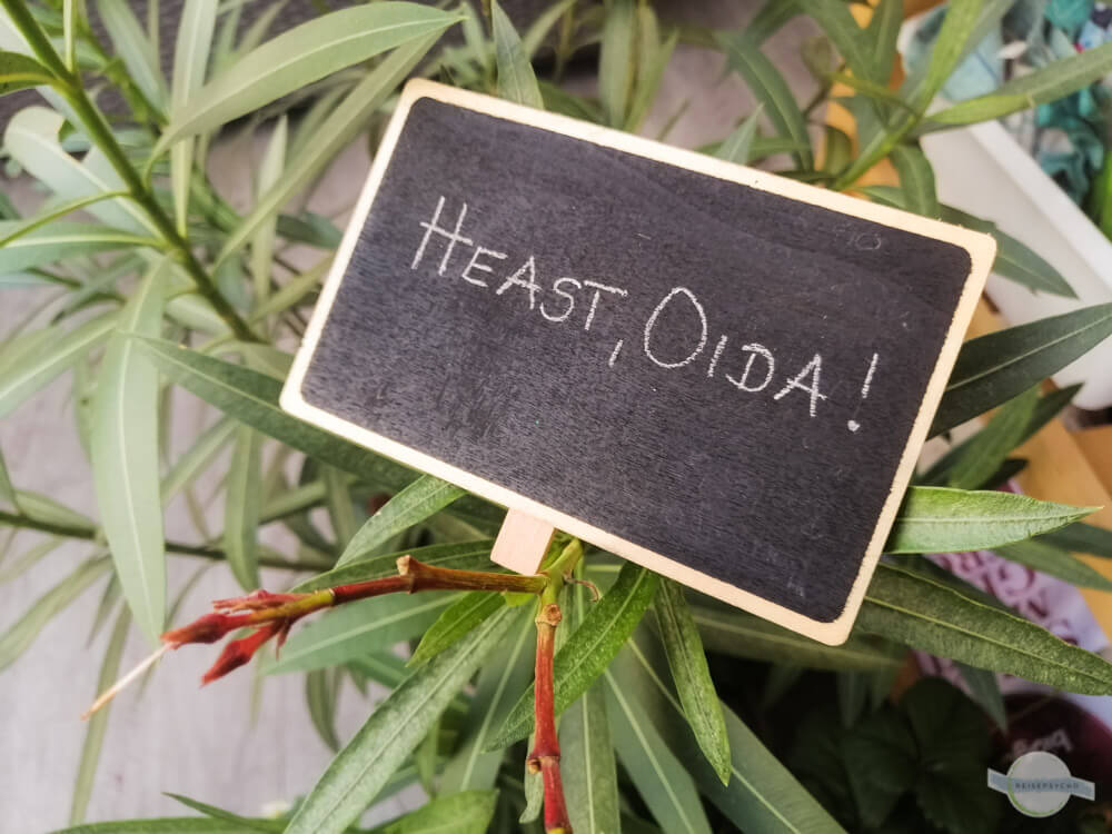 Heast Oida Schrift