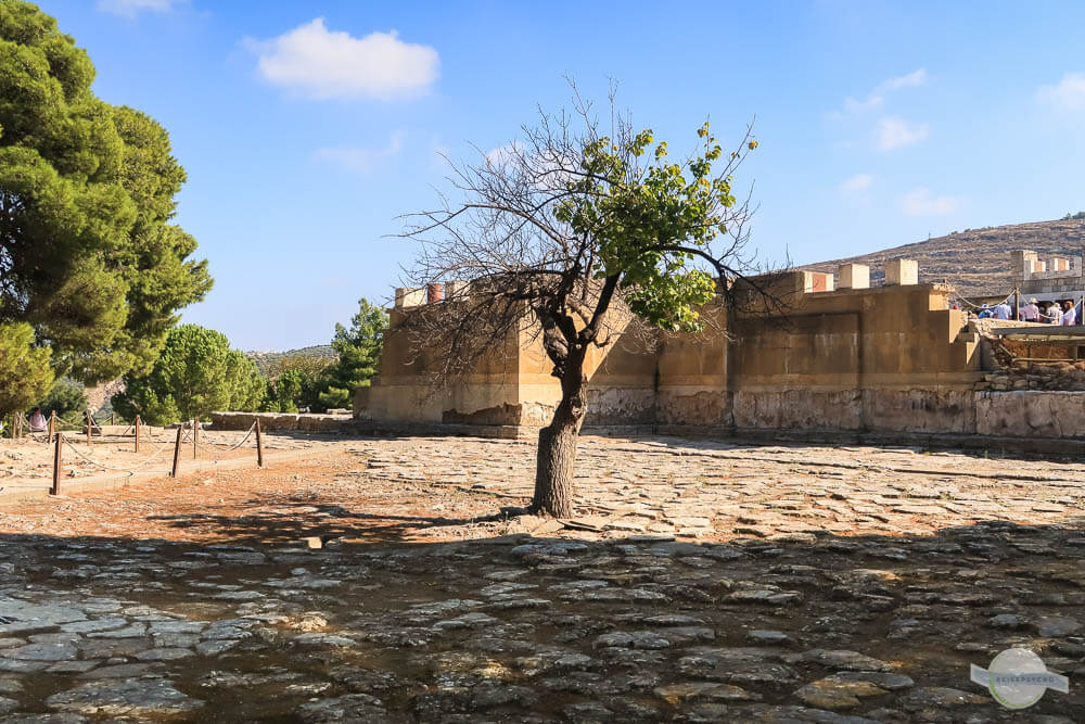 Knossos Eingang Baum in der Mitte