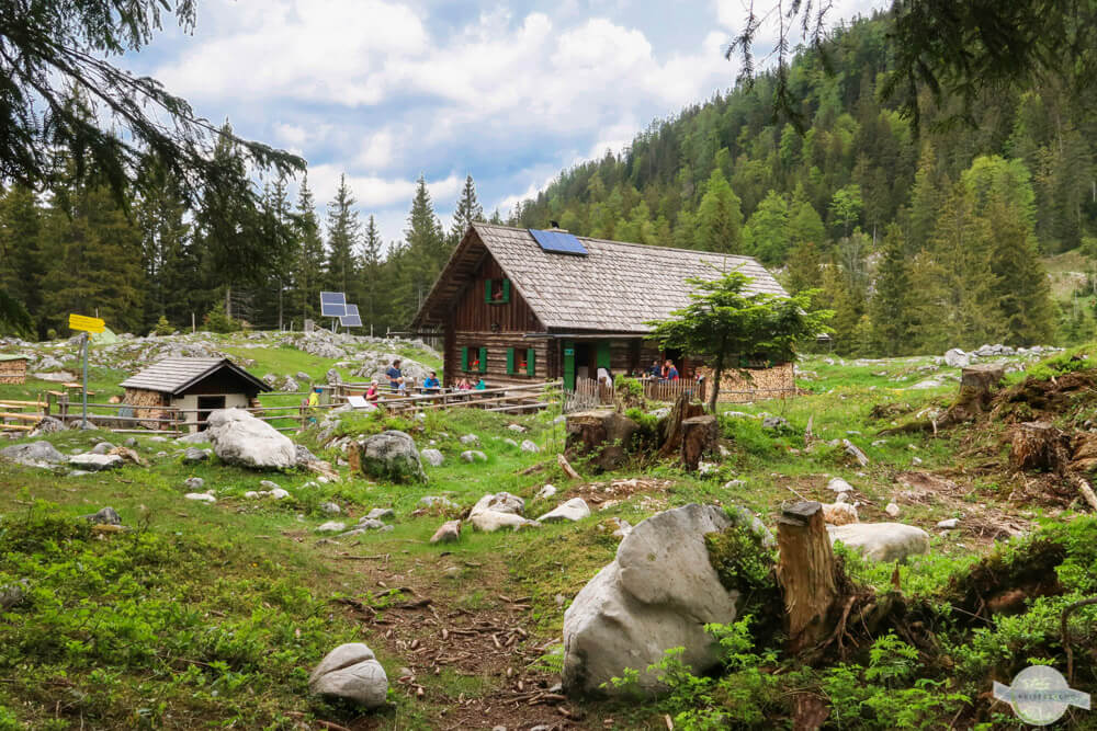 Ebenalm am Gosausee