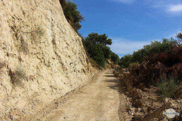 Forstweg auf Kreta