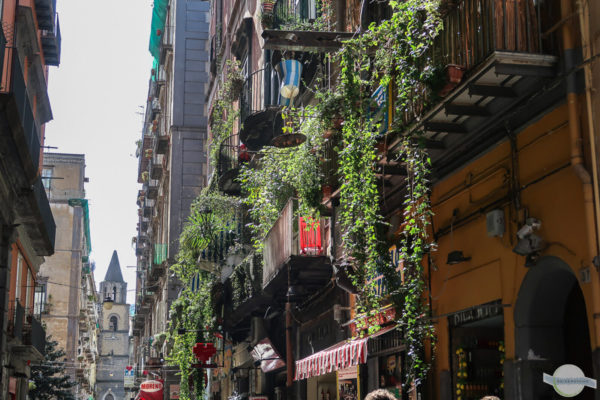 Neapel verwachsener Balkon