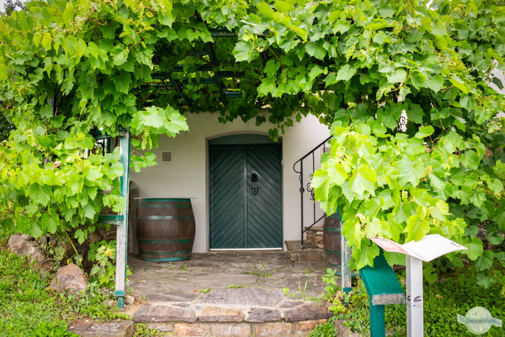 Typisch Burgenland