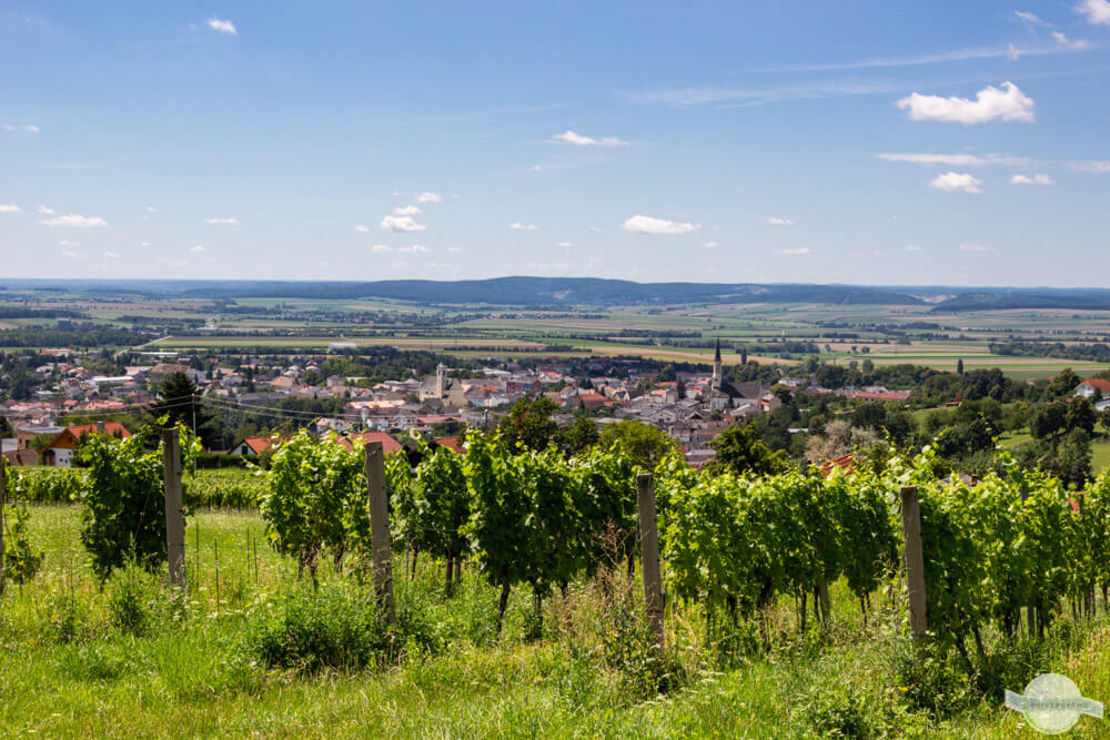 Weinberge in Rechnitz