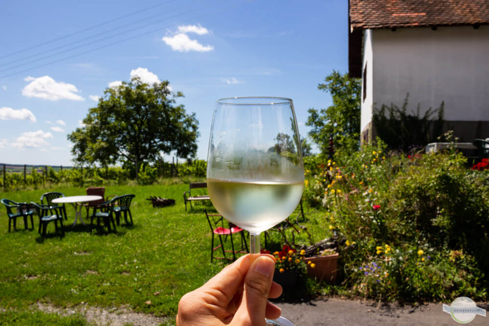 Ein Gläschen Wein im Burgenland