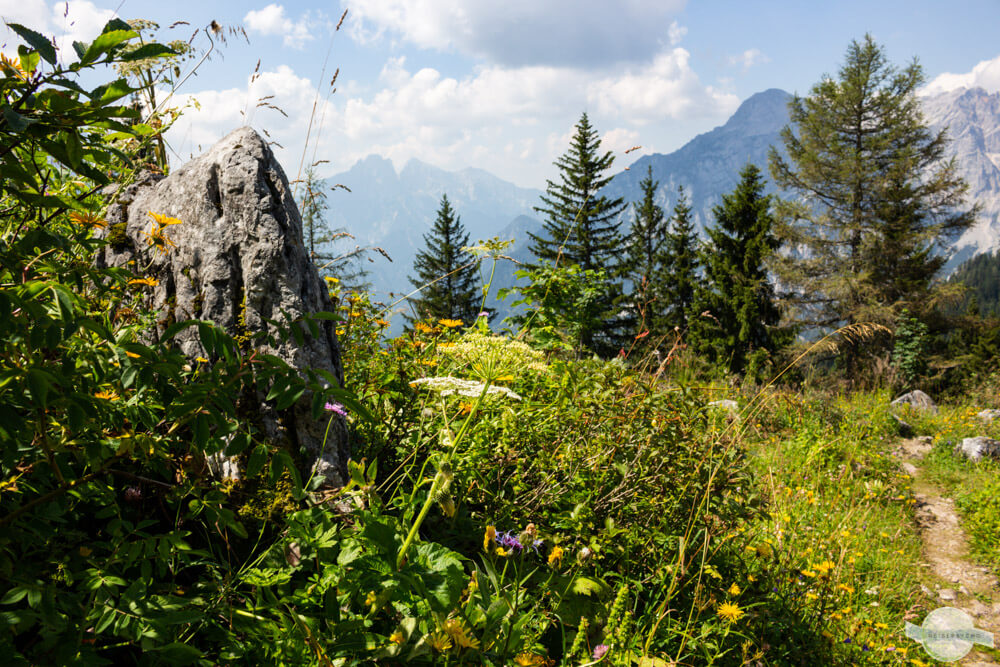 Das Gesäuse im Sommer - ein Stück Paradies